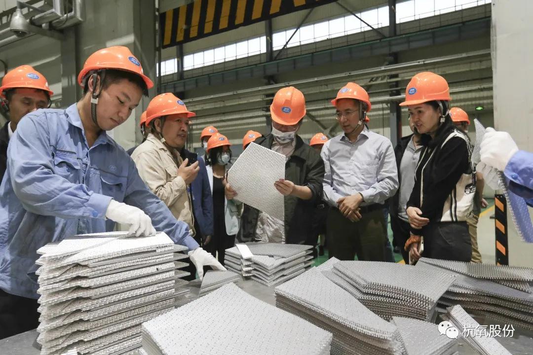 工信部優(yōu)質企業(yè)培育調研組在杭氧調研(圖2)